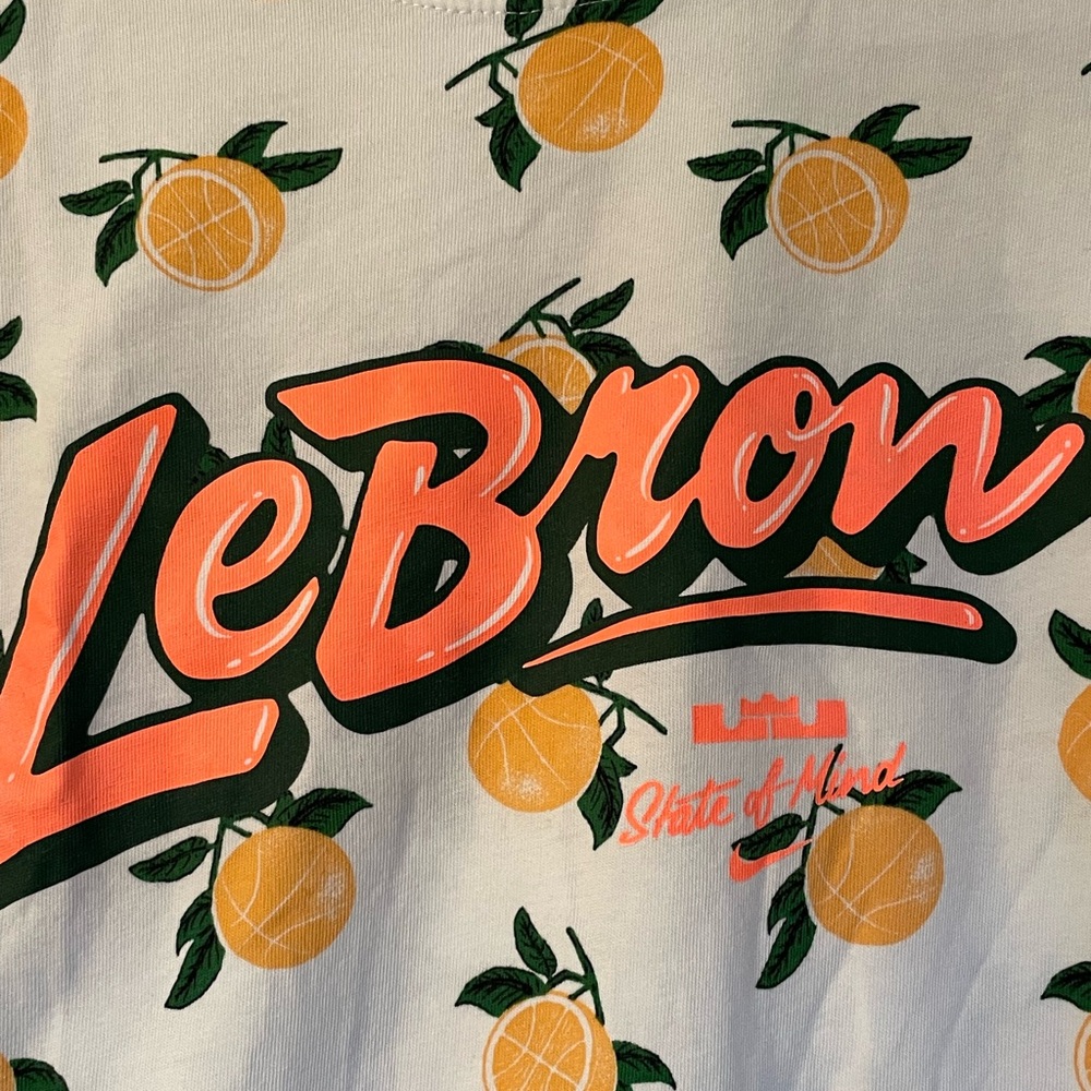 Nike Lebron James Floridian State of Mind T-Shirt - Picture 3 of 5